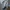 Baggy Cargo Pants By BLACKSMITH photo 7