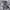 Vintage Y2K Jeans Pria white black photo 1