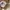 Vans Authentic OG 44 DX Anaheim Leopard photo 7