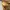 Sendal Birkenstock Arizona Birkoflor Stone photo 6