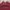 Crewneck | New Balance Spelout