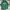 Topten Sportswear Casual Sweater Pria green photo 3