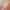 Salmon peach dress coquette shoujo vintage style photo 4