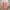 Salmon Peach Dress Coquette Shoujo Vintage Style