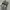 VANS Streetwear Skater Sneakers Pria multicolor photo 1