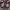 Nike Streetwear Casual Sneakers Pria red brown photo 5