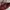 Y2K Maroon Clutch Vintage Bingo by Yongki Komaladi photo 3