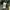Dickies Streetwear Sweater Pria green photo 4