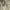 Uniqlo Cargo Pants Beige 