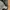 Uniqlo Streetwear Y2K Sweatpants & Joggers Pria gray photo 5