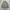 Millitary By Dandy Parka Jacket 