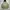 INCHIC KOON Anorak Halfzip Jacket photo 3