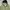INCHIC KOON Anorak Halfzip Jacket photo 6