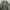Edwin military Parka Jacket  photo 6