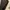 y2k leopard sunglasses prada photo 5