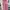 Coquette Casual Casual dress Wanita multicolor photo 1
