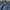 Jorts Vtg PLAYERZ 69 Full Emboidered photo 3