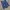 Jorts Carpenter AVERSACE photo 7