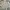 Arnold Palmer Luxury Casual Sweater Pria tan photo 5
