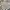 Arnold Palmer Luxury Casual Sweater Pria tan photo 1