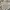 Arnold Palmer Luxury Casual Sweater Pria Tan