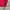 Sportswear Casual Sweater Pria red photo 3