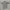 Casual Polo shirt Pria gray photo 4