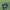 Mossy Oak Realtree