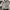 Streetwear Casual Crop top Wanita gray photo 1