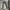 Levi's Casual Casual Pants Pria Tan