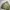 Crocodile Casual Harrington jacket Pria green photo 3