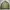 Crocodile Casual Harrington jacket Pria green photo 8