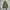 Crocodile Casual Harrington jacket Pria green photo 1