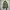 Crocodile Casual Harrington Jacket Pria Green