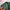 Polo Ralph Lauren Casual Harrington jacket Pria green photo 4