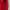 RED GUCCI POLO photo 6