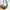 Casual Hobo bag Wanita gray photo 1