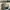 New Balance Streetwear Sneakers Pria gray photo 1