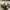 Nike Streetwear Sneakers Pria white cream photo 2