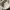 Nike Streetwear Sneakers Pria white cream photo 3