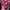 Pink Fitted Zipup hoodie photo 3