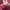 Pink Fitted Zipup hoodie photo 6