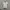 Le Coq Sportif Avant Garde Jersey Pria white photo 1