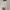 Polo Ralph Lauren Vintage Luxury Sweater Pria white photo 5