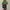 Polo Ralph Lauren Vintage Luxury Sweater Pria white photo 4