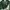 Abercrombie & Fitch Sportswear Cosplay Sweater Pria green photo 1