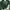 Abercrombie & Fitch Sportswear Cosplay Sweater Pria Green