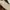 Flatshoes photo 6