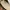 Flatshoes photo 6