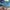 Von Dutch Y2K Canvas Sneakers Original photo 8